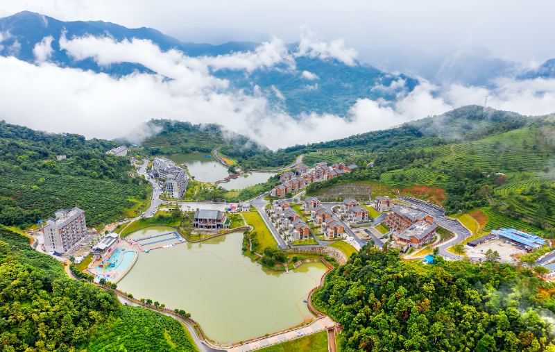 太平镇翔顺象窝生态园