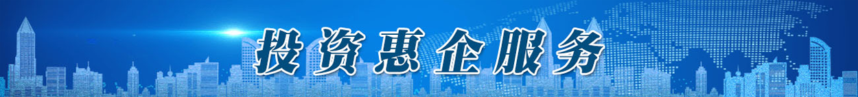 投资惠企服务